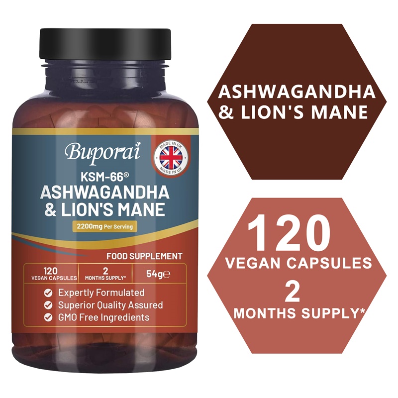 Ginkgo Biloba Extract - Ashwagandha and Lion’s Mane - Stress