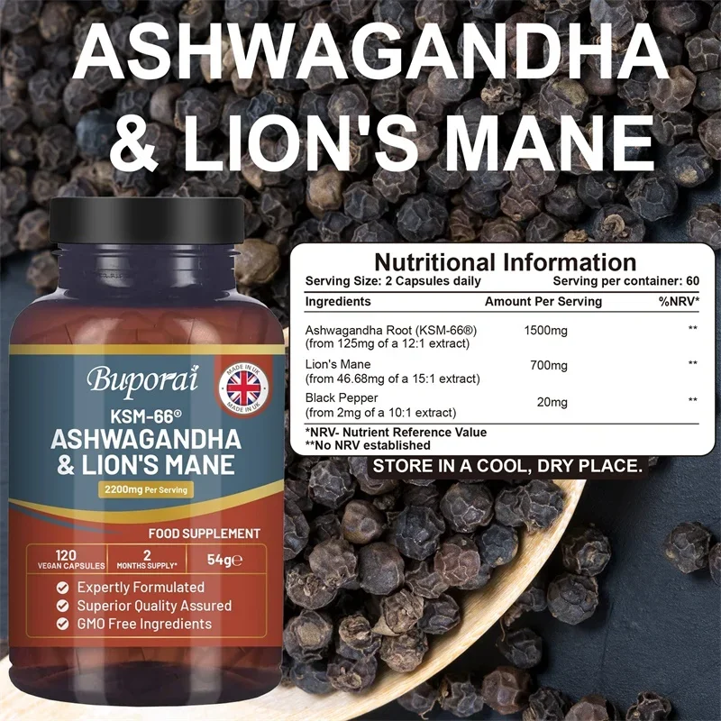 Ashwagandha and Lion’s Mane -  - Ginkgo Biloba Extract ulasan dan harga