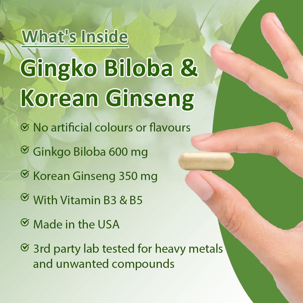 Ginkgo Biloba & Korean Ginseng - Ginkgo Biloba Extract ulasan dan harga