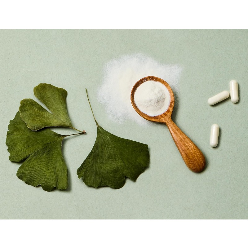 Ginkgo biloba leaf extract cap - Ginkgo Biloba Extract ulasan dan harga