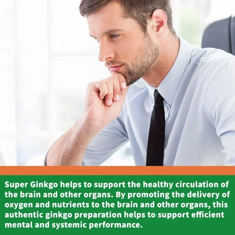 Ginkgo Biloba Capsules - Brain - Ginkgo Biloba Extract ulasan dan harga